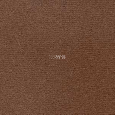 Radici Nexus Castoro 8220 фото 1 | FLOORDEALER